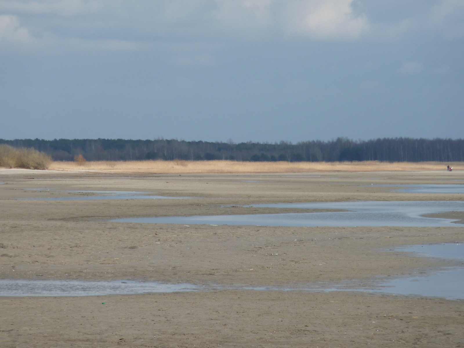 照片 爱沙尼亚(Estonia) 派尔努(Parnu) 2009-04 52