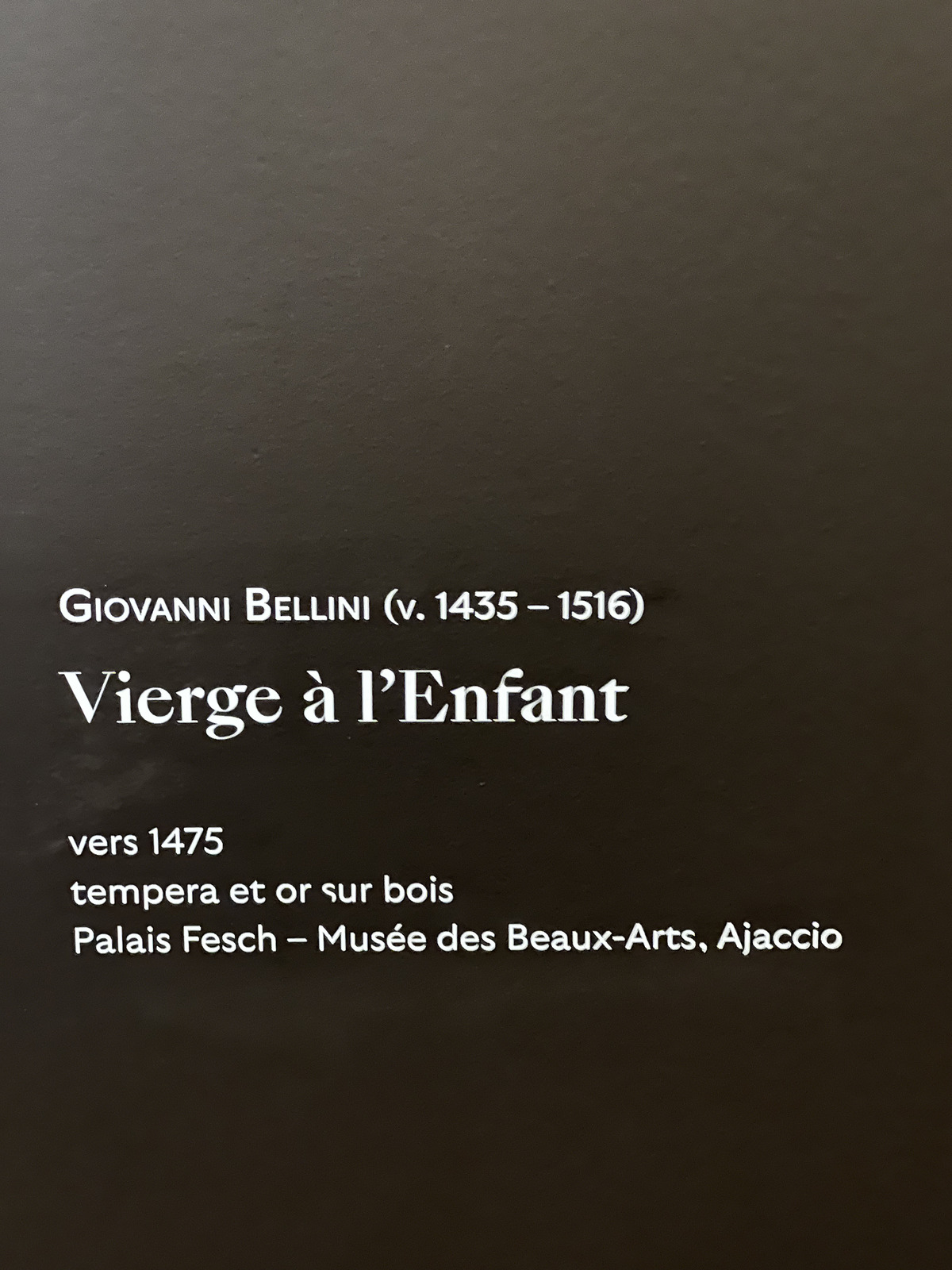 照片 法国(France) 巴黎(Paris) 雅克马尔-安德烈博物馆(Jacquemart Andre Museum) 2023-04 135