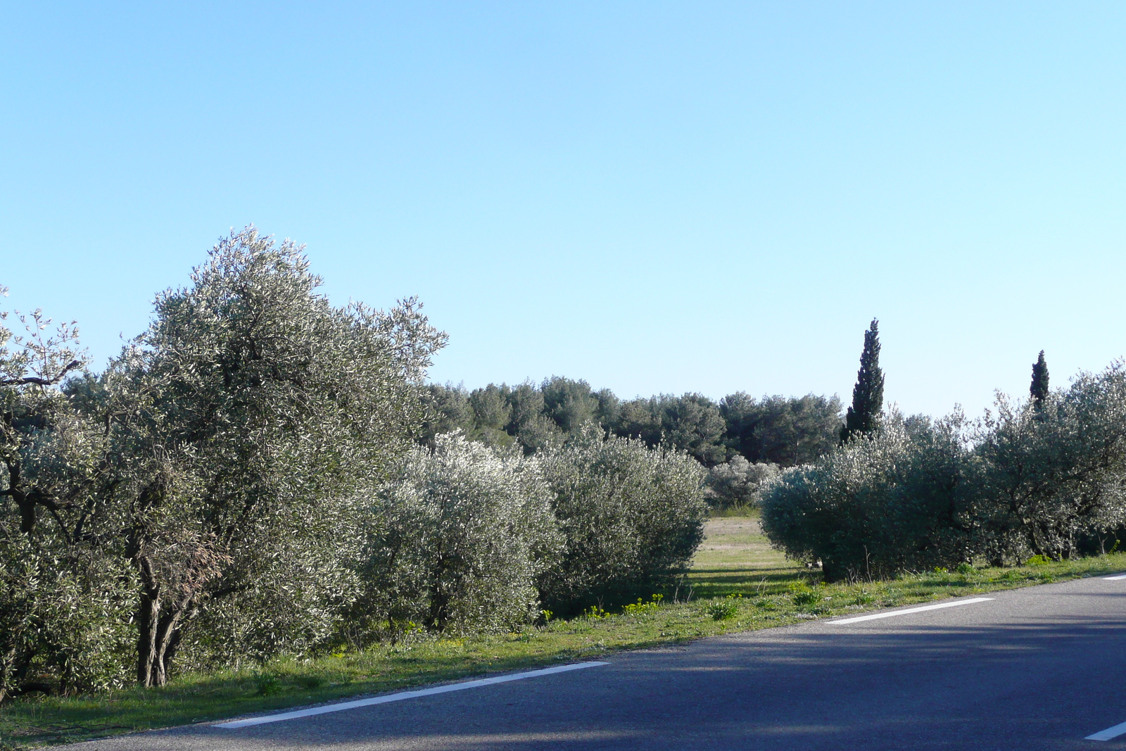 照片 法国(France) 普罗旺斯(Provence) 莱博至塔拉斯孔公路(Baux de Provence to Tarascon road) 2008-04 5