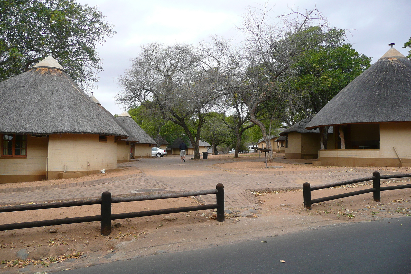 照片 南非(South Africa) 克鲁格国家公园(Kruger National Park) 2008-09 10