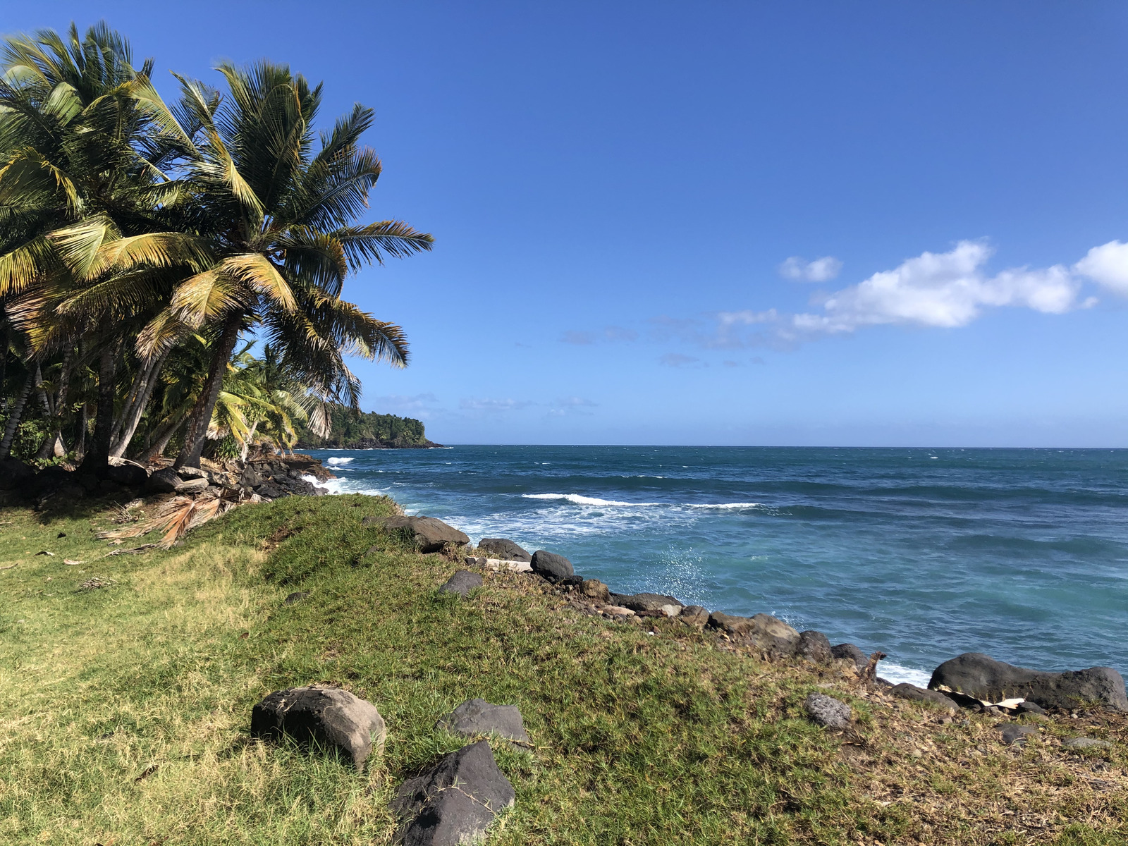 照片 瓜德罗普(Guadeloupe) 三河城(Trois Rivieres) 2021-02 6