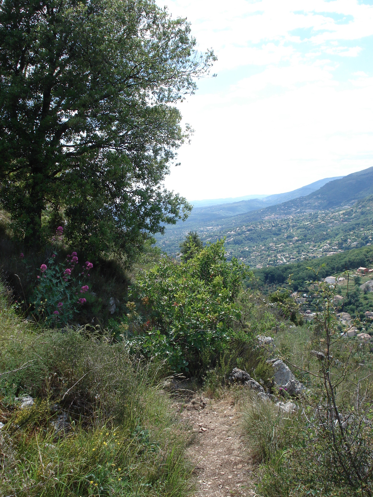 照片 法国(France) 旺斯(Vence) 巴乌山(Baou) 2006-06 47