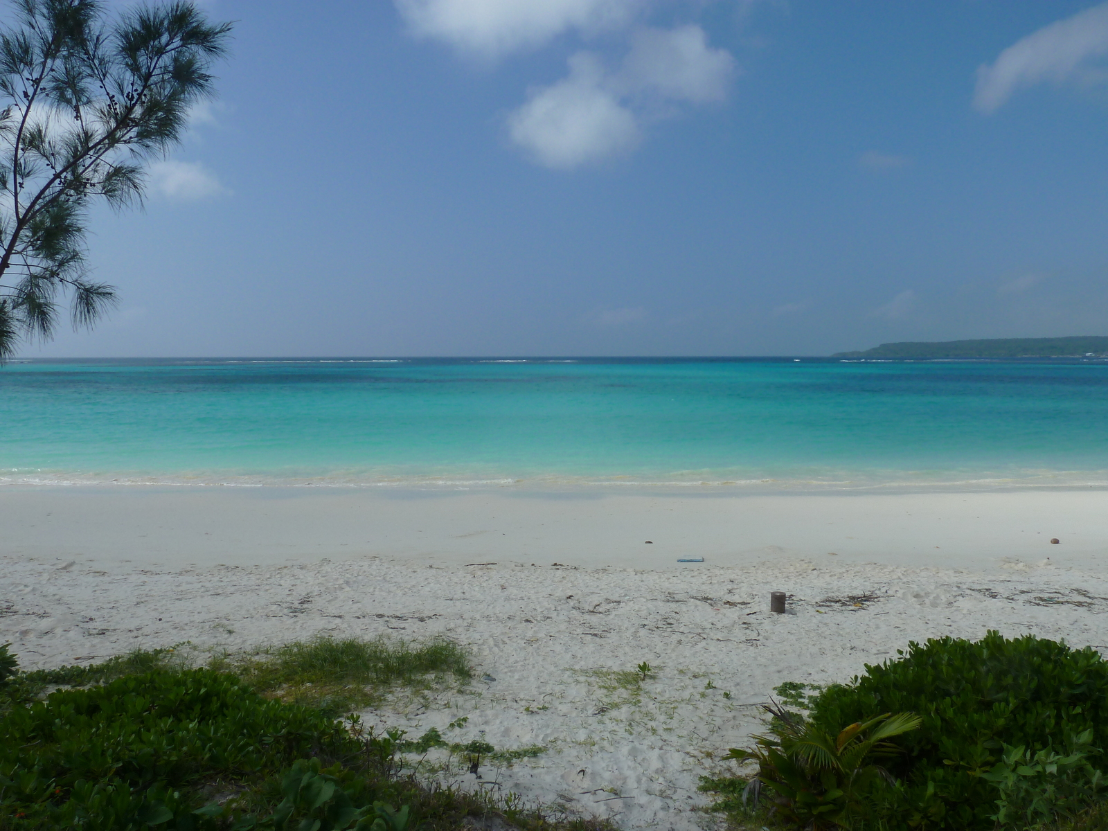照片 新喀里多尼亚(New Caledonia) 利富岛(Lifou) 夏多布里昂湾(Chateaubriand Bay) 2010-05 95