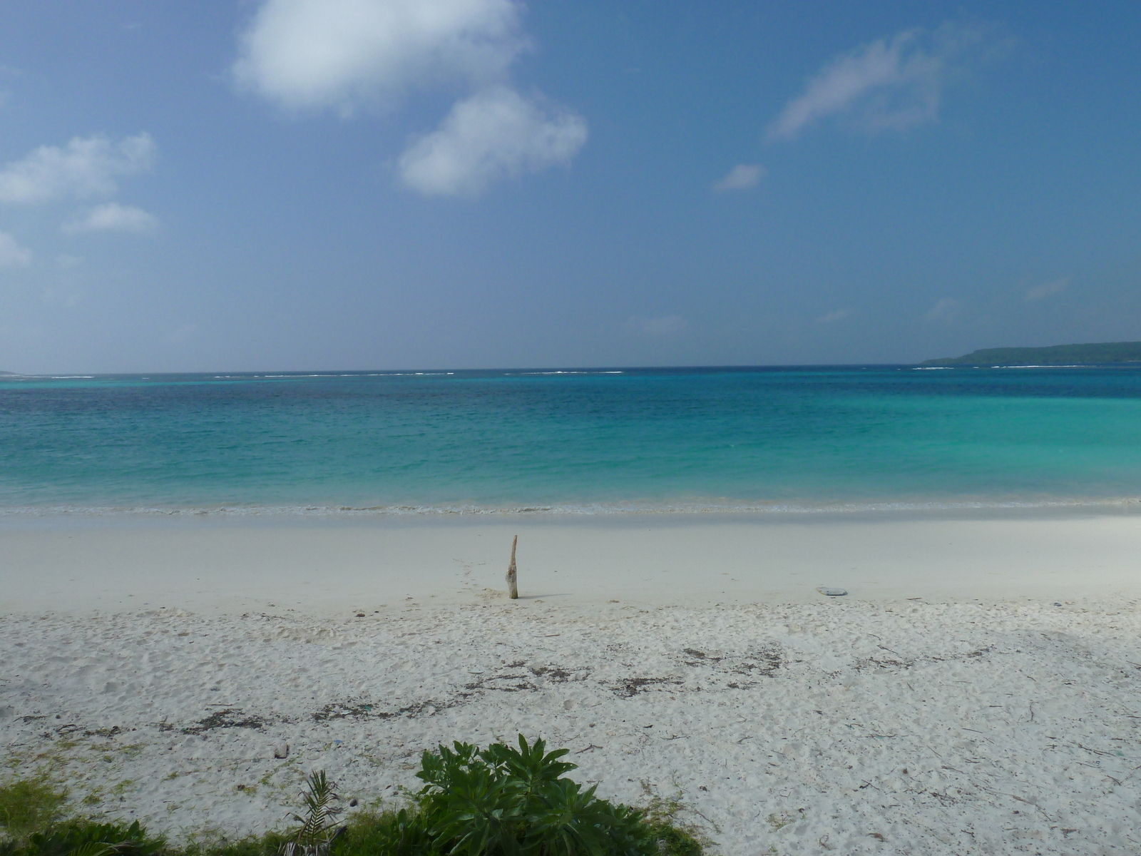 照片 新喀里多尼亚(New Caledonia) 利富岛(Lifou) 夏多布里昂湾(Chateaubriand Bay) 2010-05 104