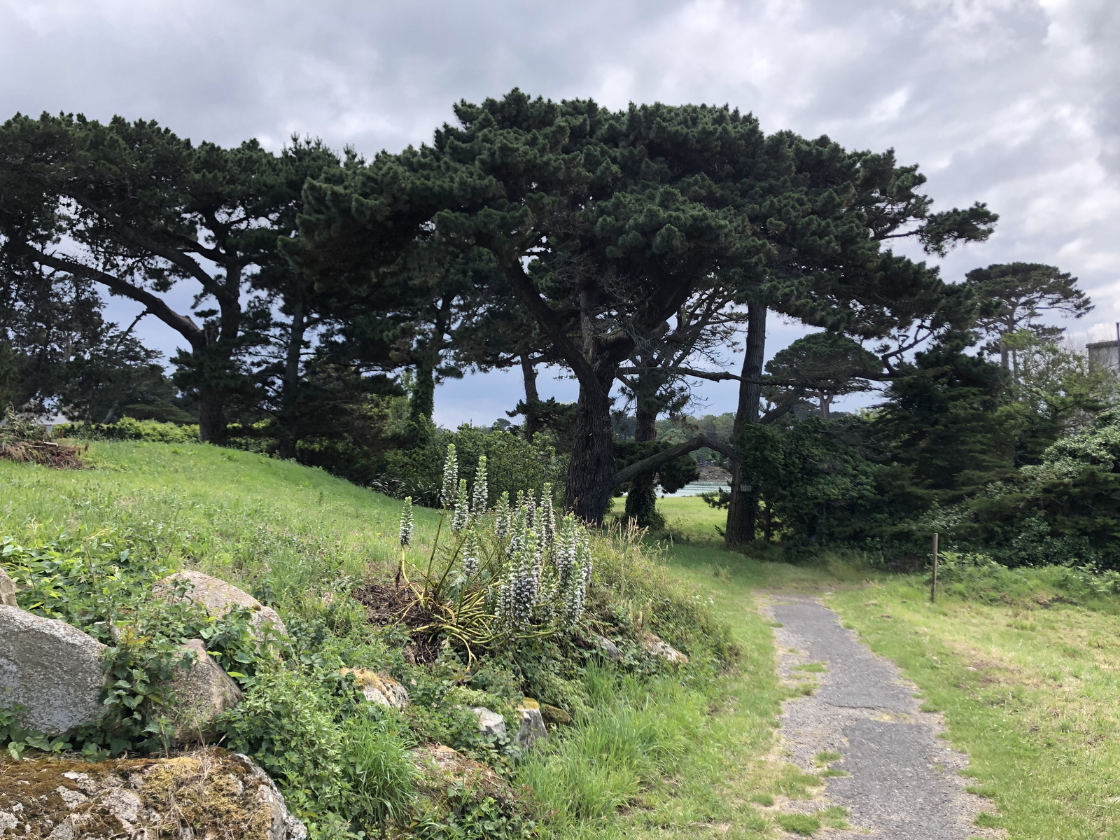 照片 法国(France) 布雷阿岛(Brehat Island) 2020-06 55