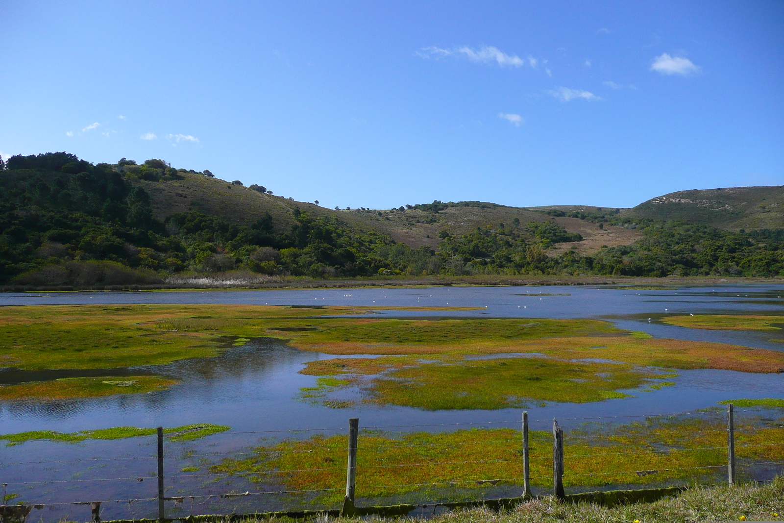 照片 南非(South Africa) 克尼斯纳岬角(Knysna Heads) 2008-09 40