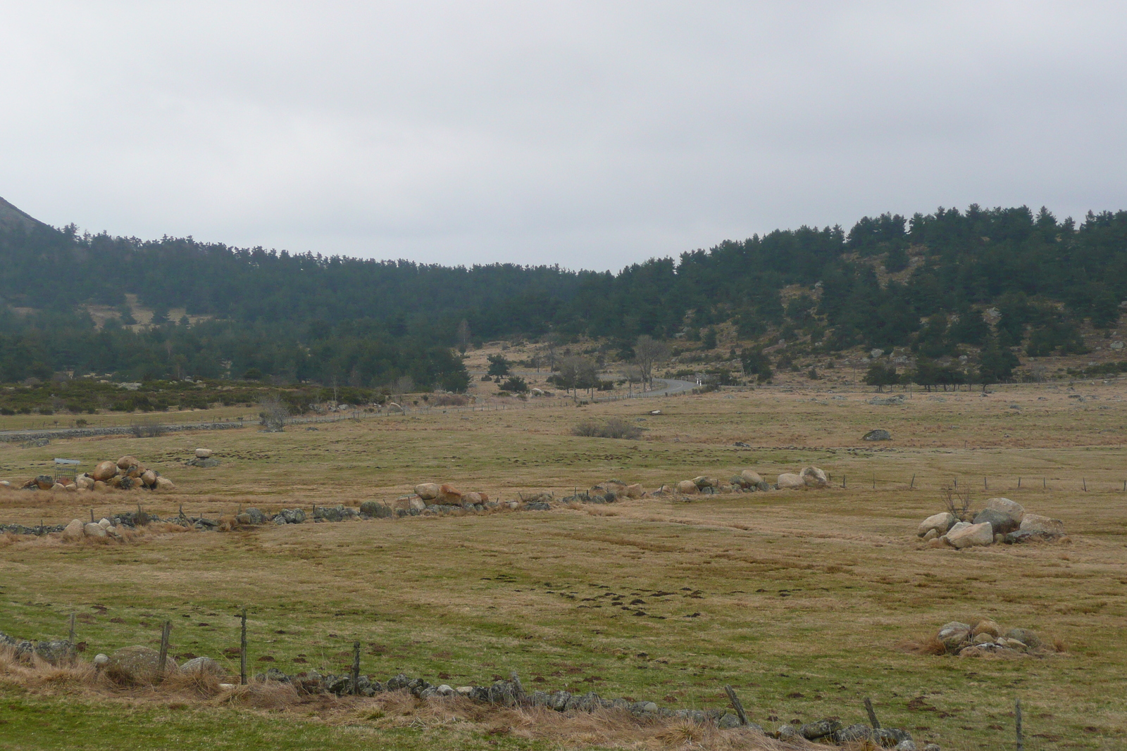 照片 法国(France) 奥布拉克(L'Aubrac) 2008-04 41