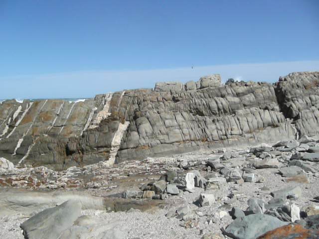 照片 南非(South Africa) 齐齐卡马国家公园(Tsitsikamma National Park) 2008-09 7