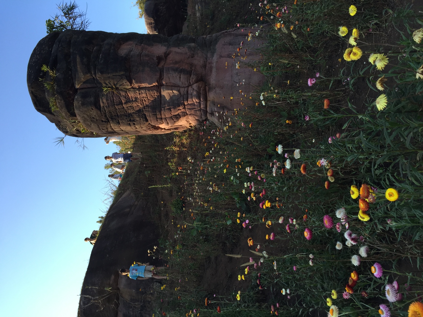 照片 泰国(Thailand) 普欣隆卡国家公园(Phu Hin Rong Kla National Park) 2014-12 396