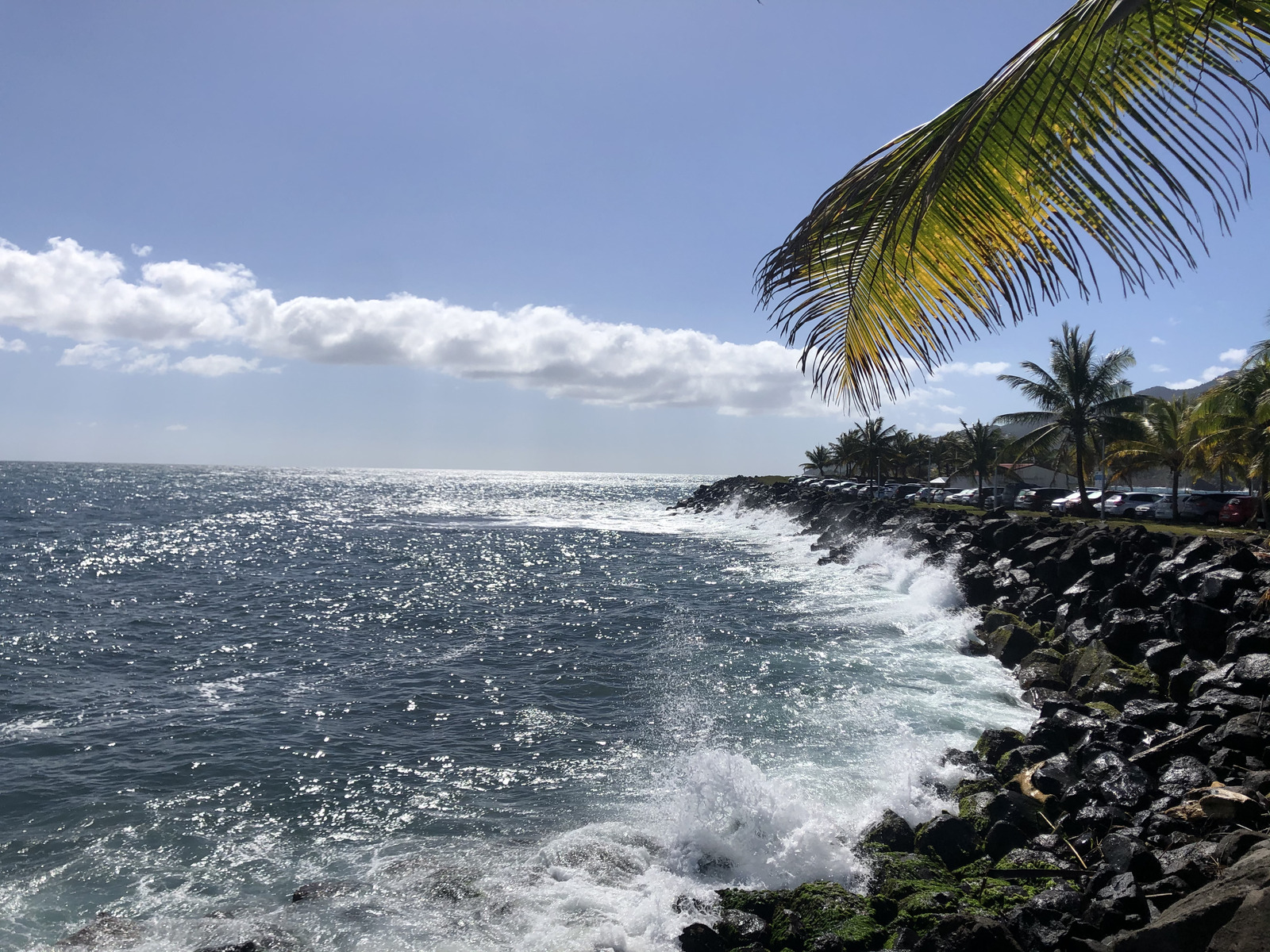 照片 瓜德罗普(Guadeloupe) 三河城(Trois Rivieres) 2021-02 5