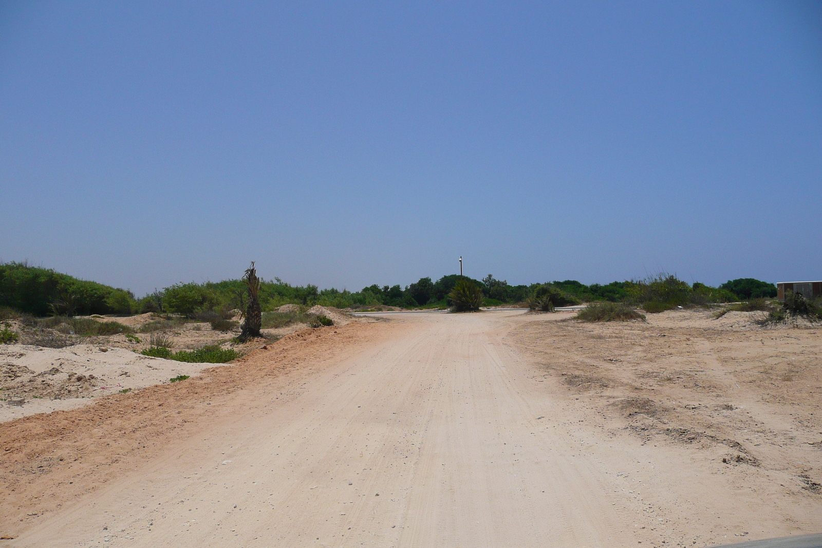 照片 以色列(Israel) 尼灿(Nitzan) 2007-06 12