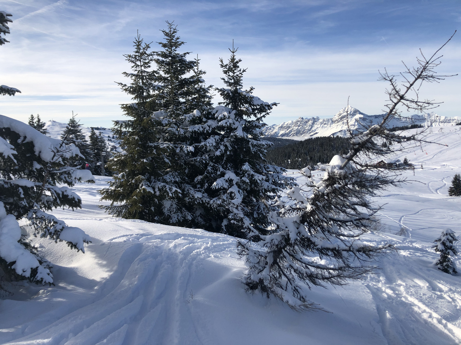照片 法国(France) 阿尔利河畔普拉(Praz sur Arly) 2019-12 313