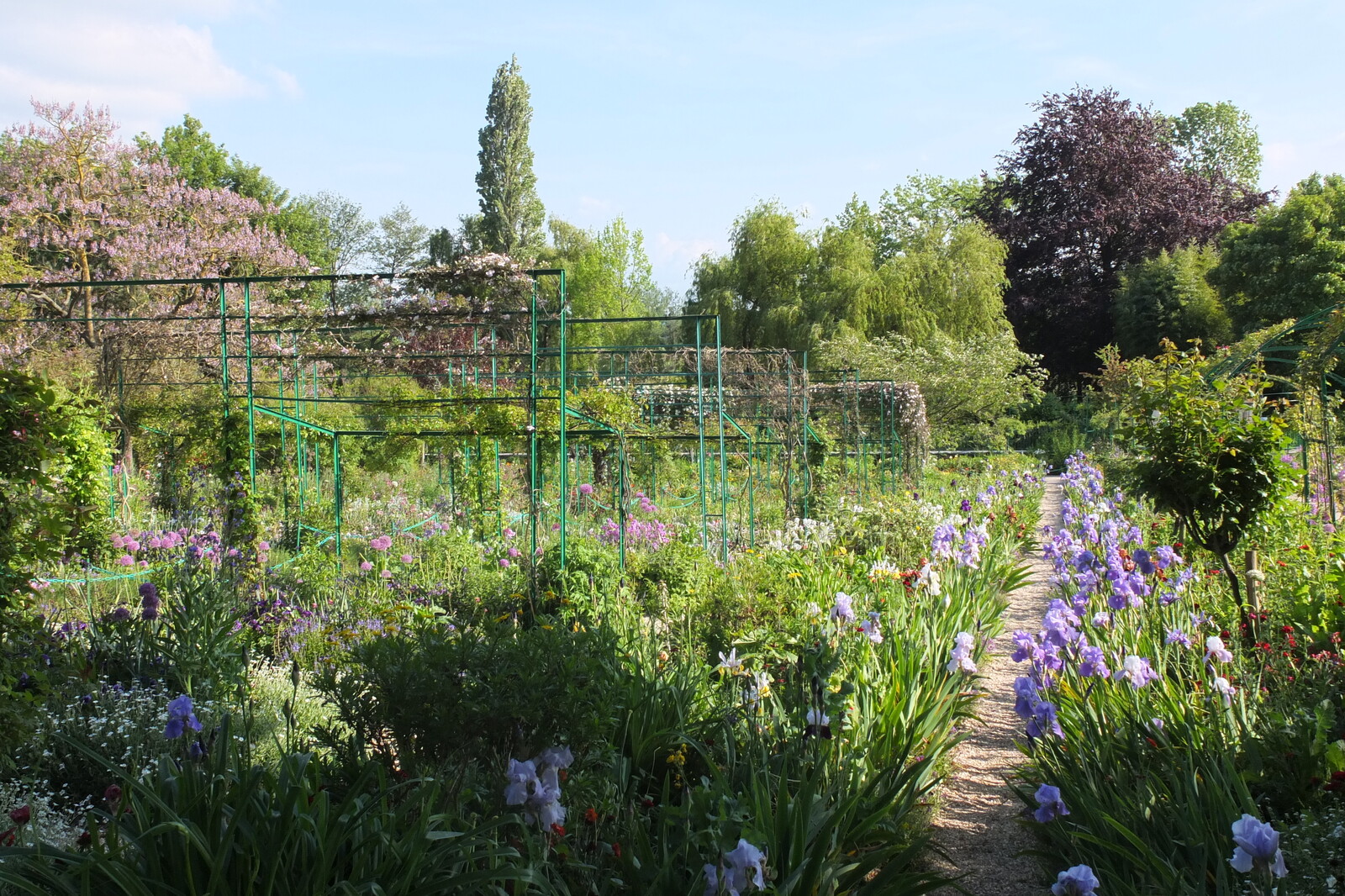 照片 法国(France) 吉维尼(Giverny) 2013-06 12