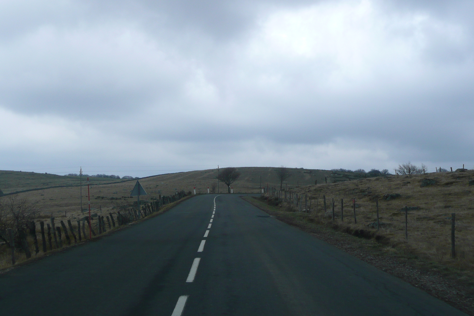 照片 法国(France) 奥布拉克(L'Aubrac) 2008-04 67