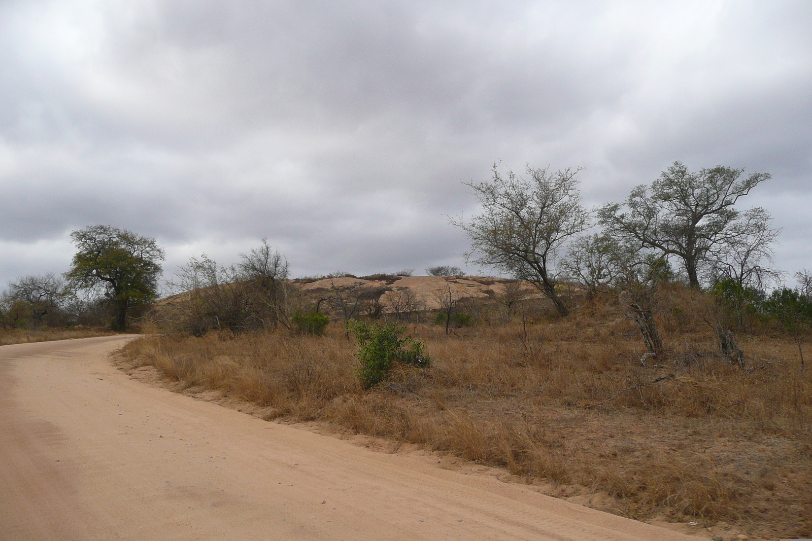 照片 南非(South Africa) 克鲁格国家公园(Kruger National Park) 2008-09 175