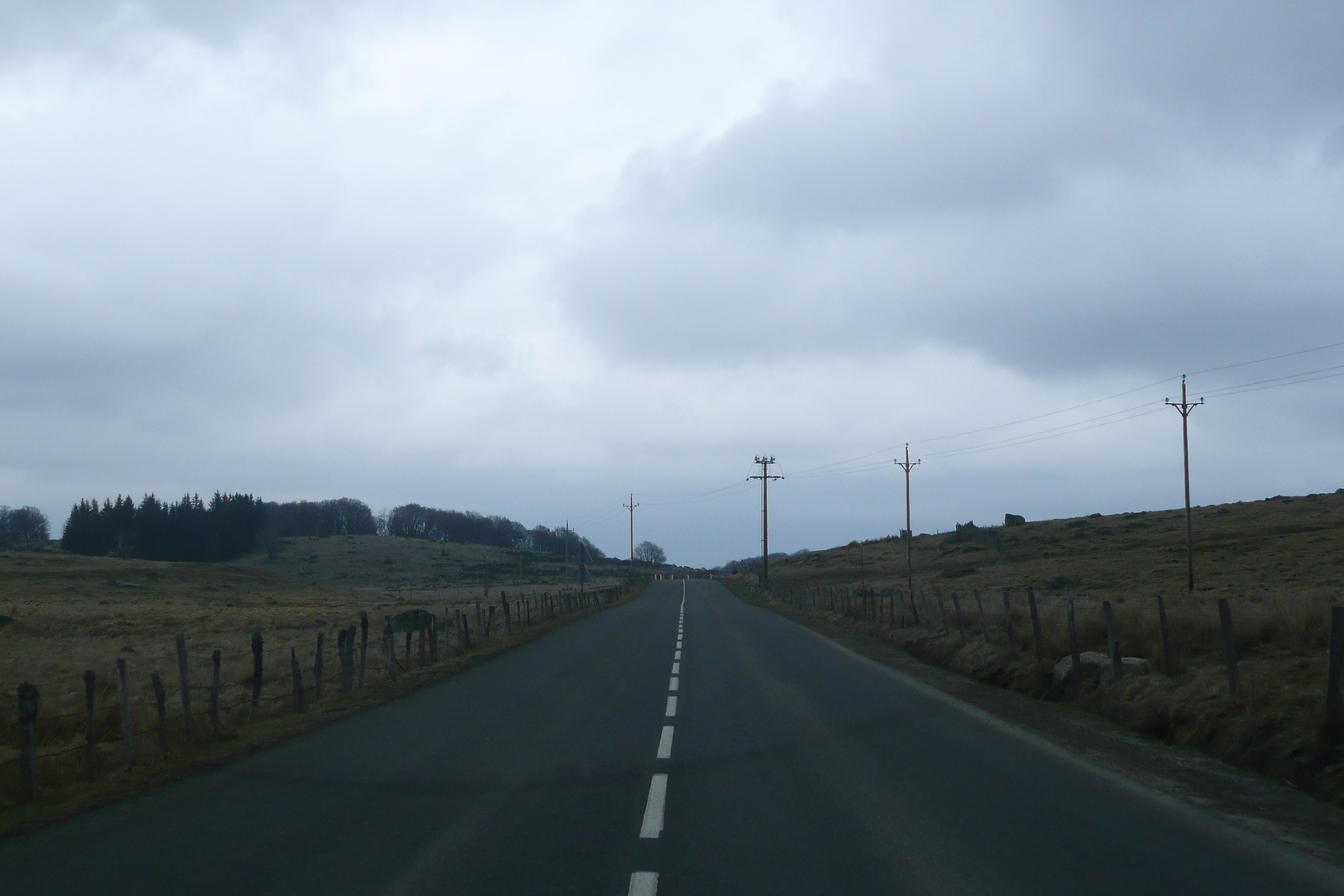 照片 法国(France) 奥布拉克(L'Aubrac) 2008-04 76