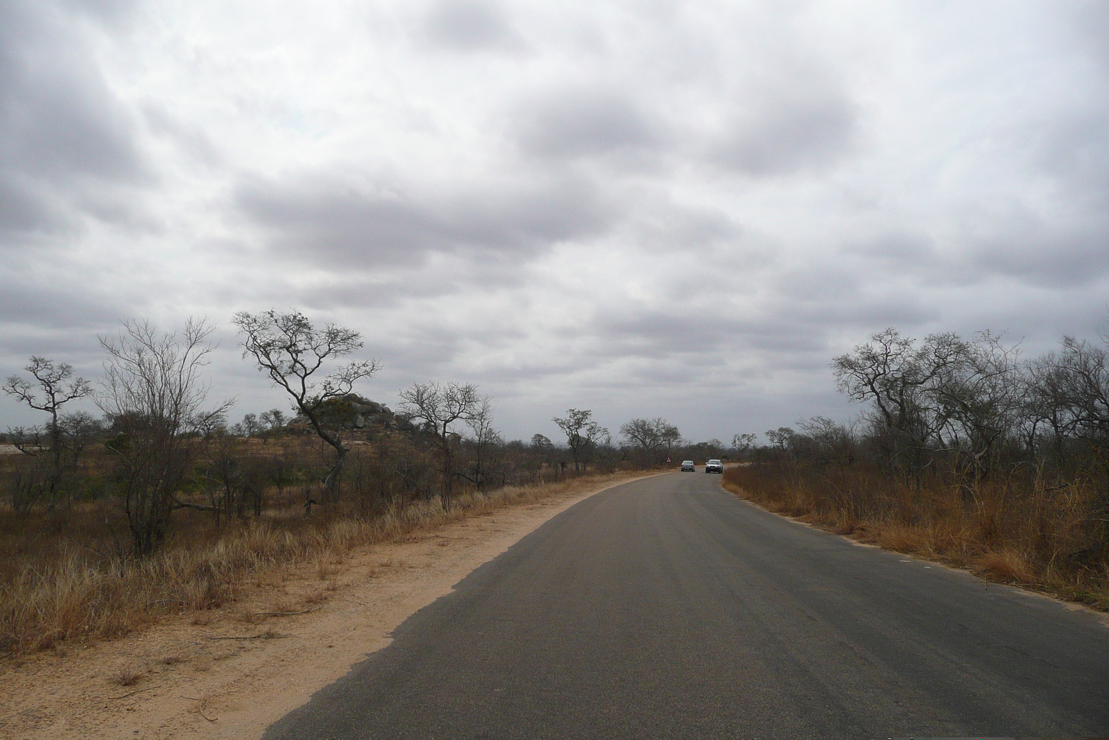 照片 南非(South Africa) 克鲁格国家公园(Kruger National Park) 2008-09 194