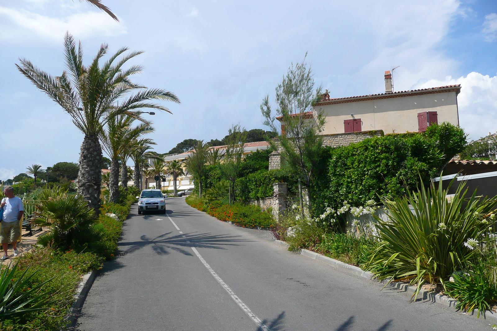 照片 法国(France) 萨纳里(Sanary) 2008-06 48