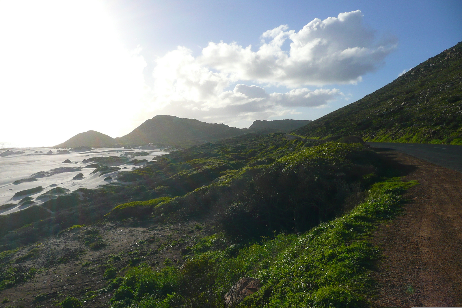 照片 南非(South Africa) 好望角(Cape of Good Hope) 2008-09 33