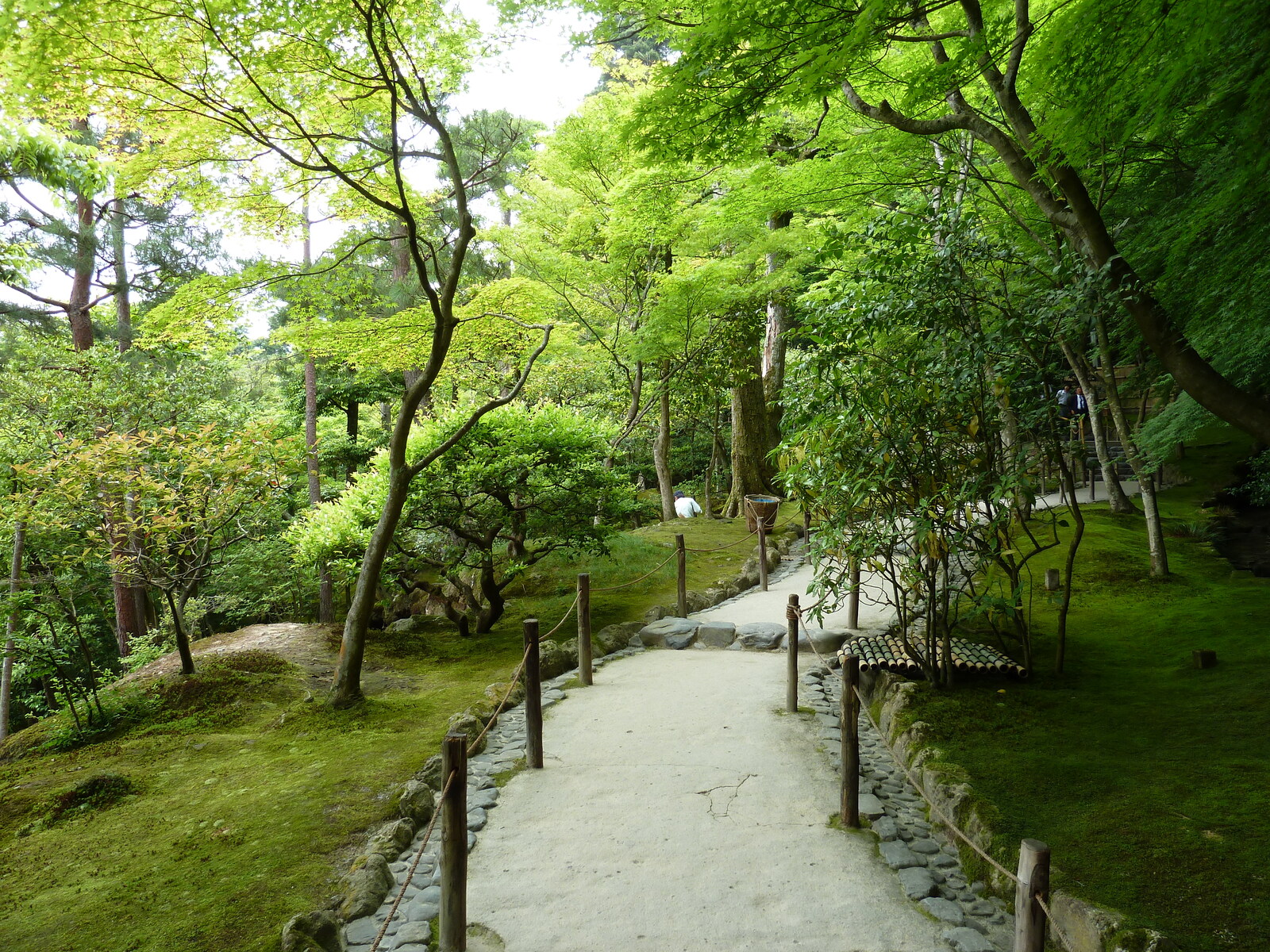 照片 日本(Japan) 京都(Kyoto) 银阁寺(Ginkakuji Temple(Silver Pavilion)) 2010-06 6