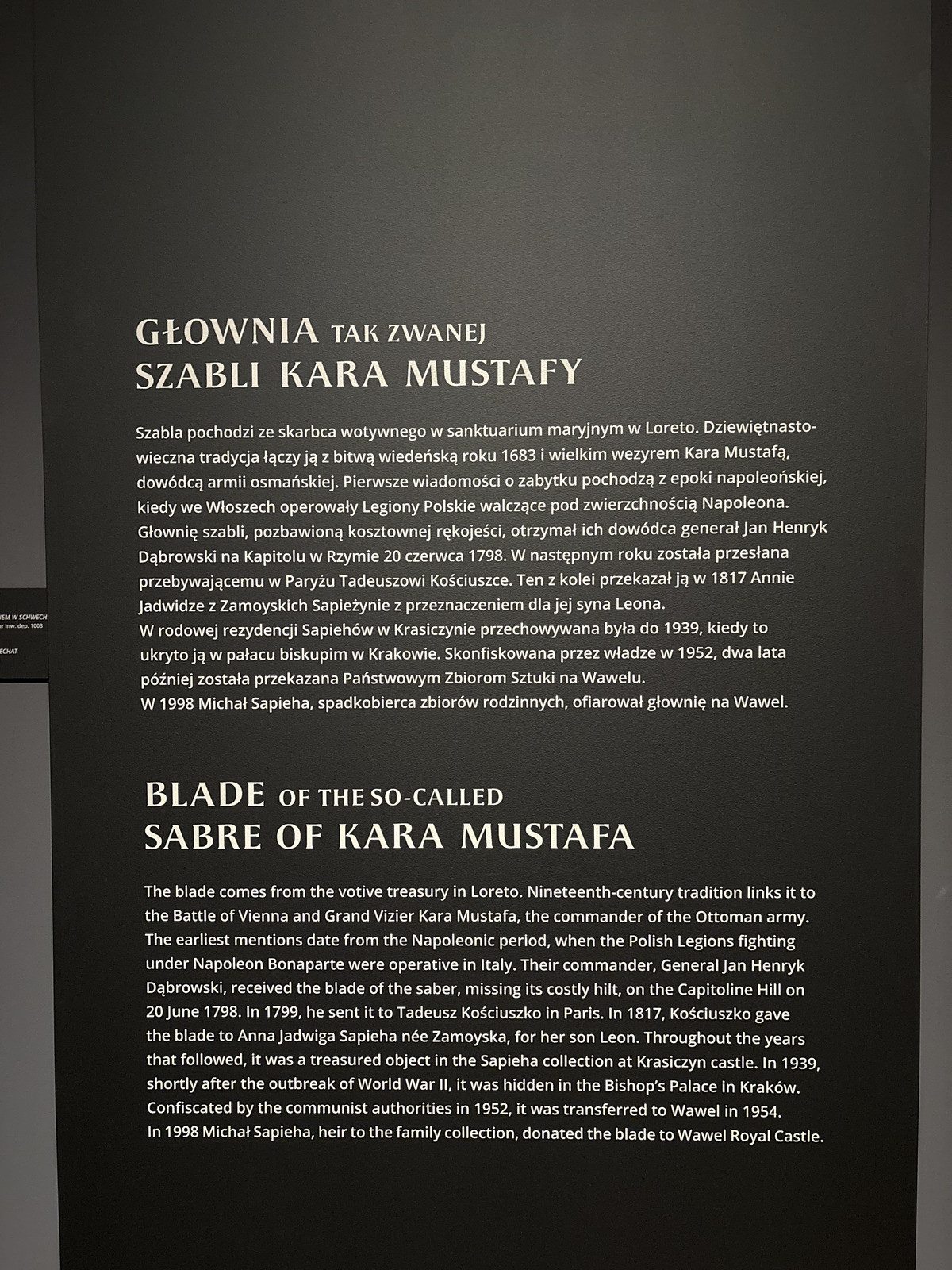 照片 波兰(Poland) 克拉科夫(Krakow) 瓦维尔城堡(Wawel castle) 2026-09 45