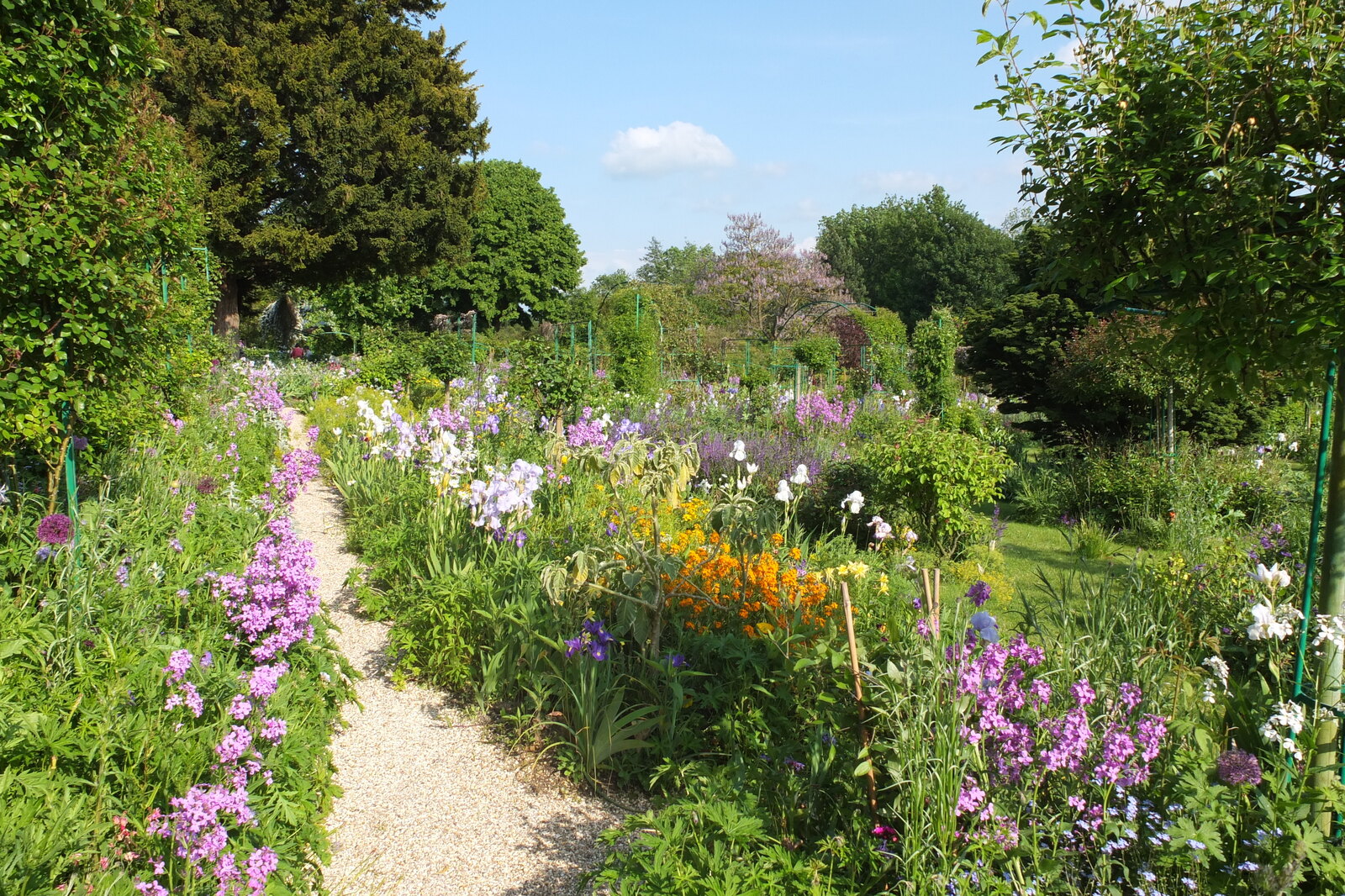 照片 法国(France) 吉维尼(Giverny) 2013-06 8