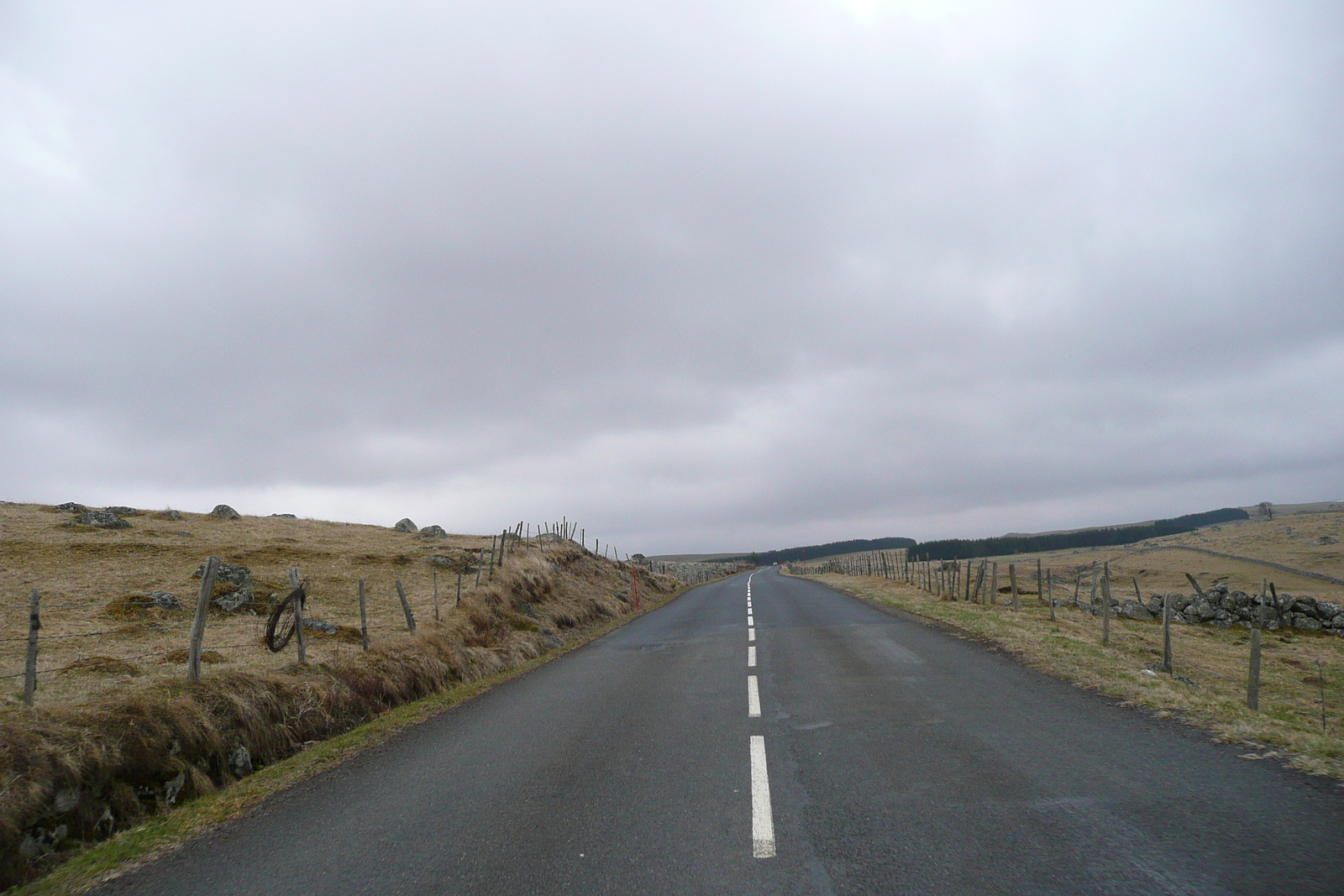 照片 法国(France) 奥布拉克(L'Aubrac) 2008-04 56