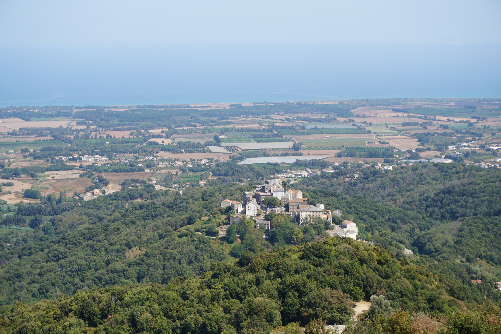 照片 法国(France) 科西嘉岛(Corsica) 彭塔-迪卡辛卡(Penta-di-Casinca) 2017-09 7