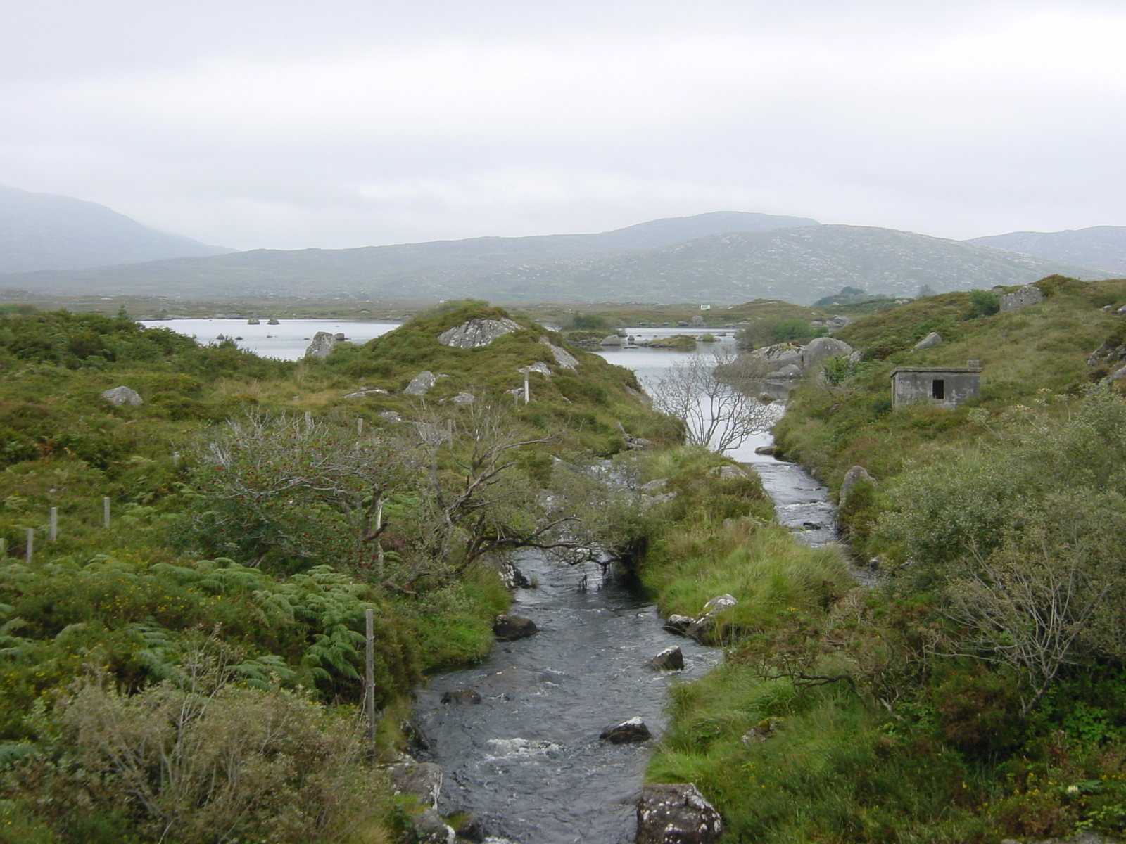 照片 爱尔兰(Ireland) 康尼马拉(Connemara) 2003-09 12