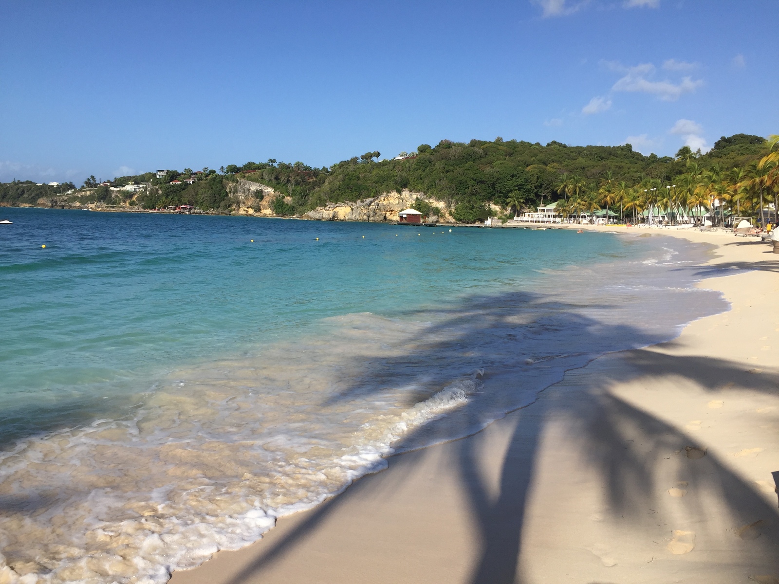 照片 瓜德罗普(Guadeloupe) 卡拉维尔海滩(La Caravelle Beach) 2021-02 83