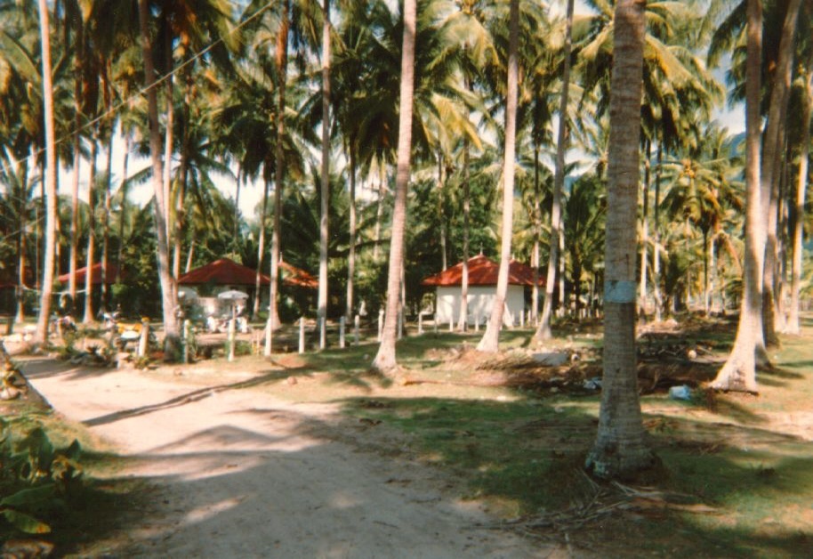 照片 泰国(Thailand) 普吉岛(Phuket) 1989-04 69