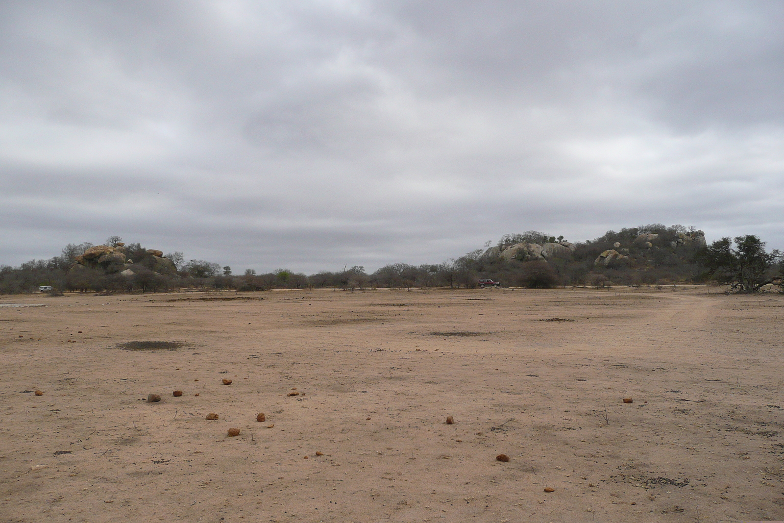 照片 南非(South Africa) 克鲁格国家公园(Kruger National Park) 2008-09 191