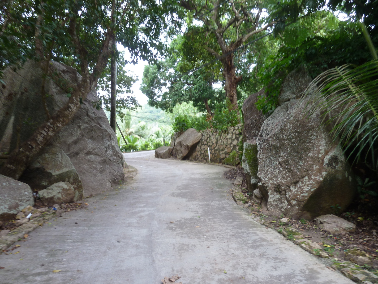 照片 塞舌尔(Seychelles) 拉迪格岛(La Digue) 2011-10 185
