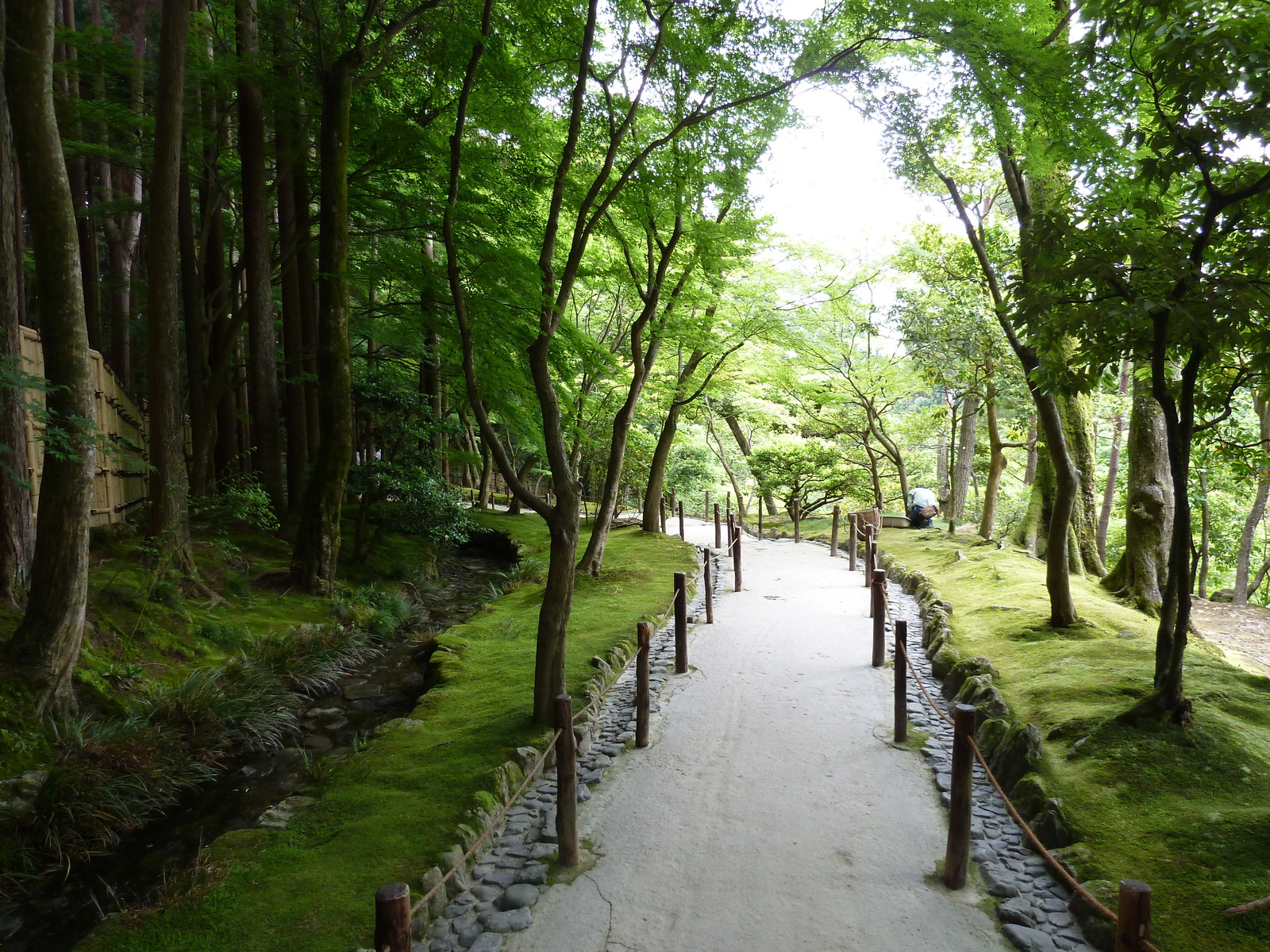 照片 日本(Japan) 京都(Kyoto) 银阁寺(Ginkakuji Temple(Silver Pavilion)) 2010-06 10