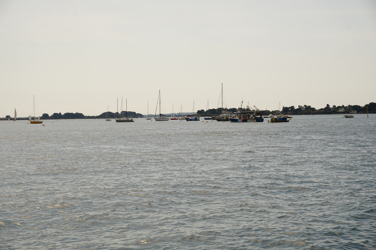照片 法国(France) 莫尔比昂湾(Golfe du Morbihan) 2016-08 96