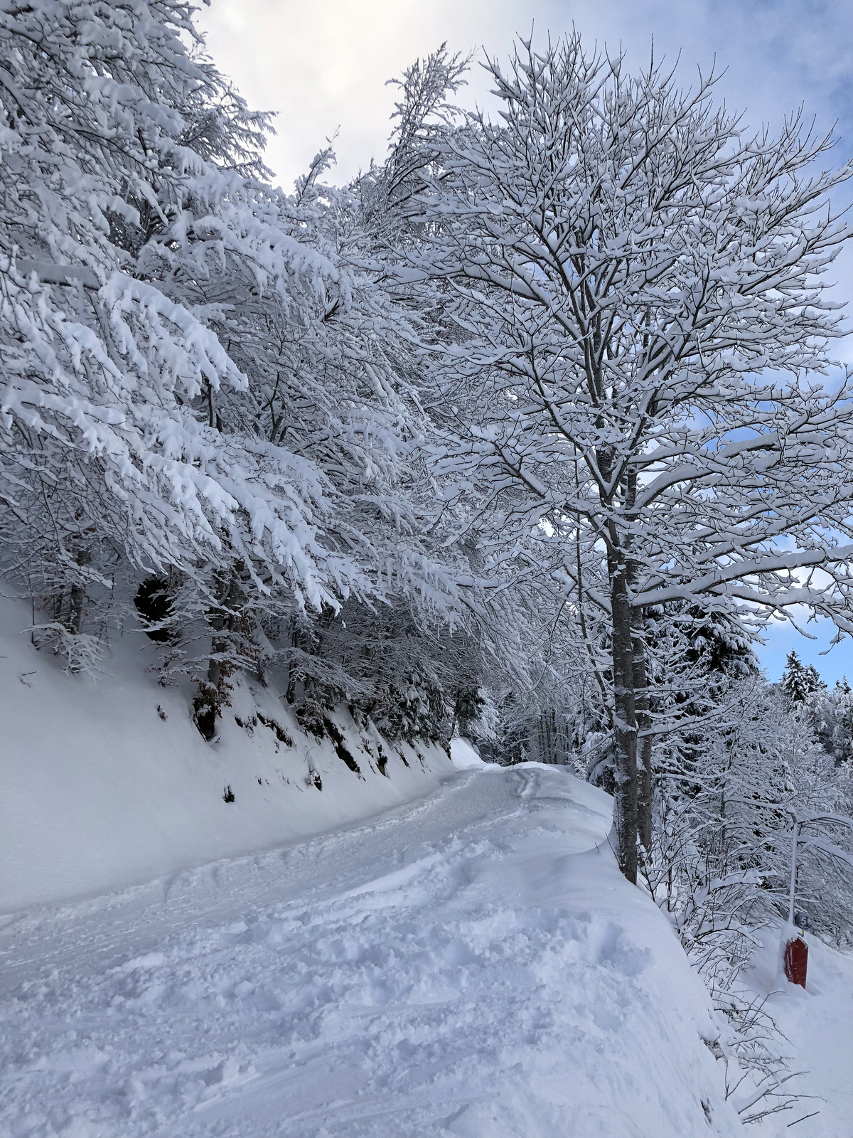 照片 法国(France) 拉克吕萨(La Clusaz) 2017-12 17