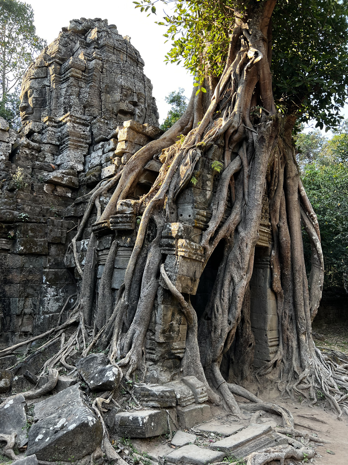 照片 柬埔寨(Cambodia) 暹粒(Siem Reap) 塔松寺(Ta Som) 2023-01 1