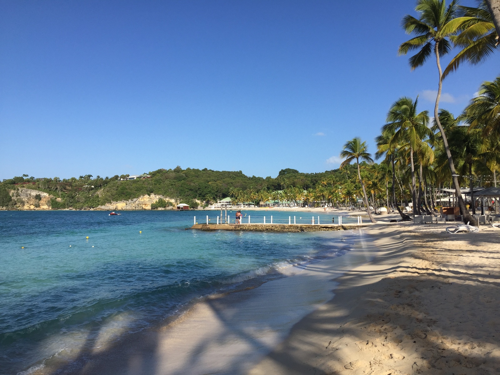 照片 瓜德罗普(Guadeloupe) 卡拉维尔海滩(La Caravelle Beach) 2021-02 79
