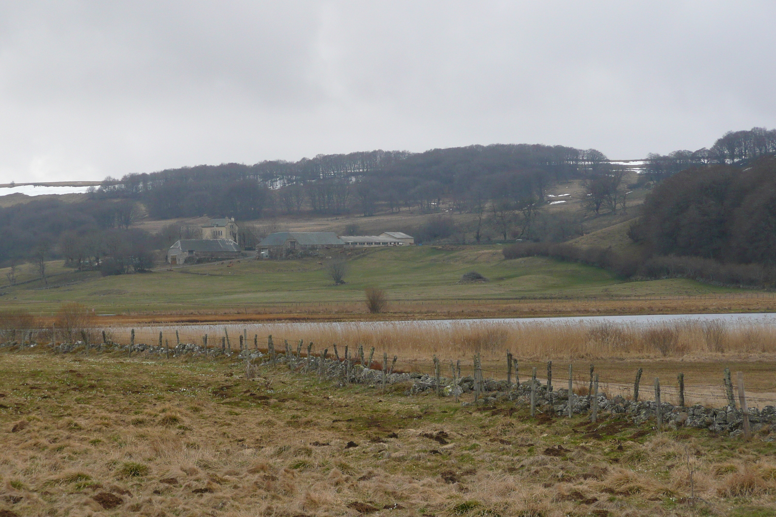 照片 法国(France) 奥布拉克(L'Aubrac) 2008-04 102