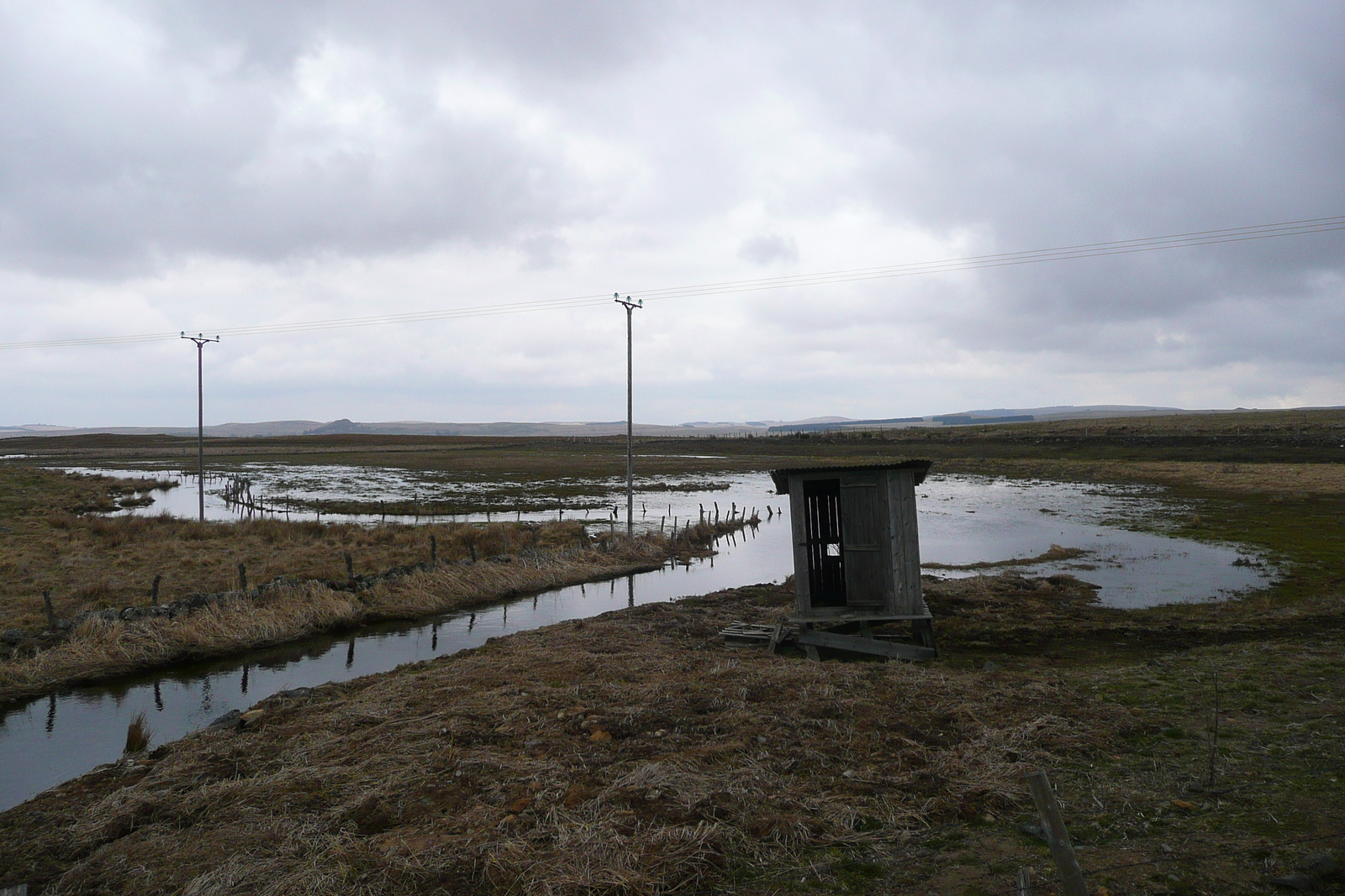 照片 法国(France) 奥布拉克(L'Aubrac) 2008-04 125