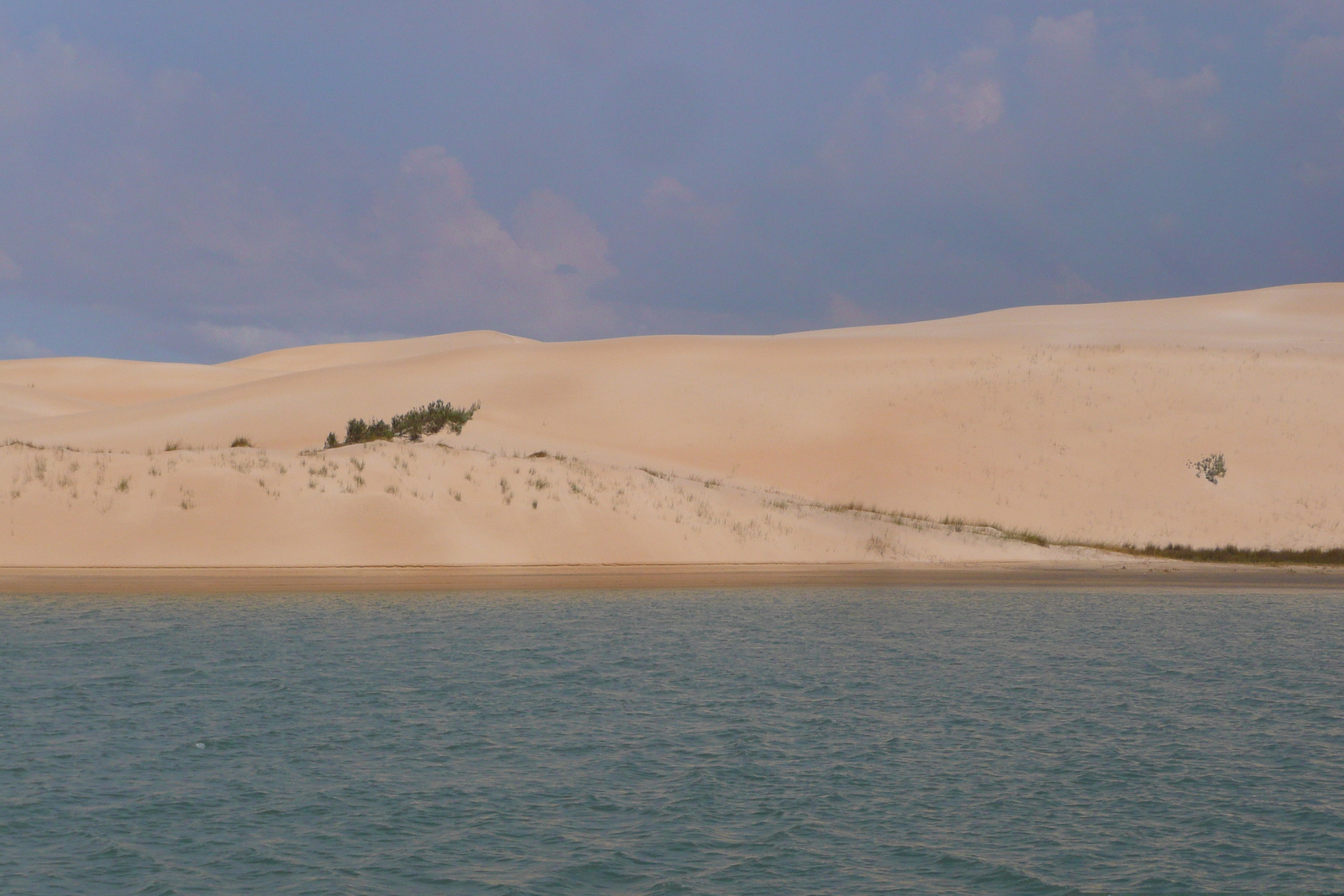 照片 南非(South Africa) 星期日河(Sundays River) 2008-09 65