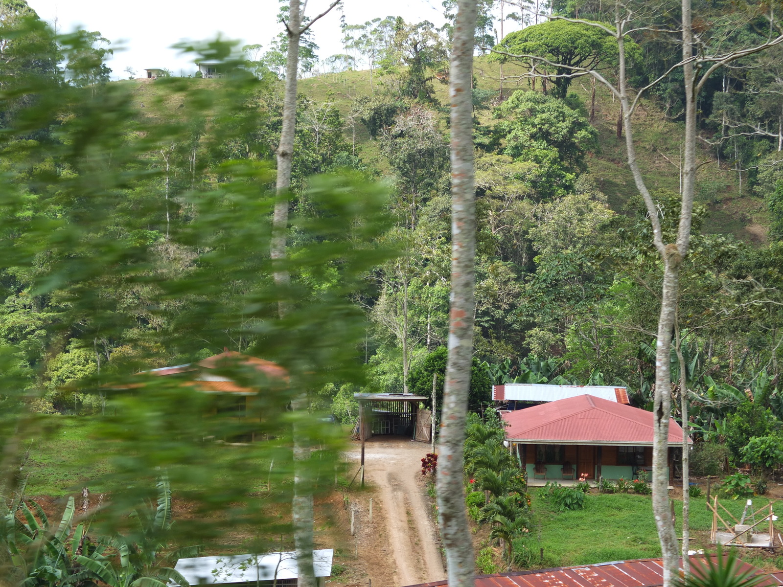 照片 哥斯达黎加(Costa Rica) 图里亚尔瓦(Turrialba) 2015-03 65