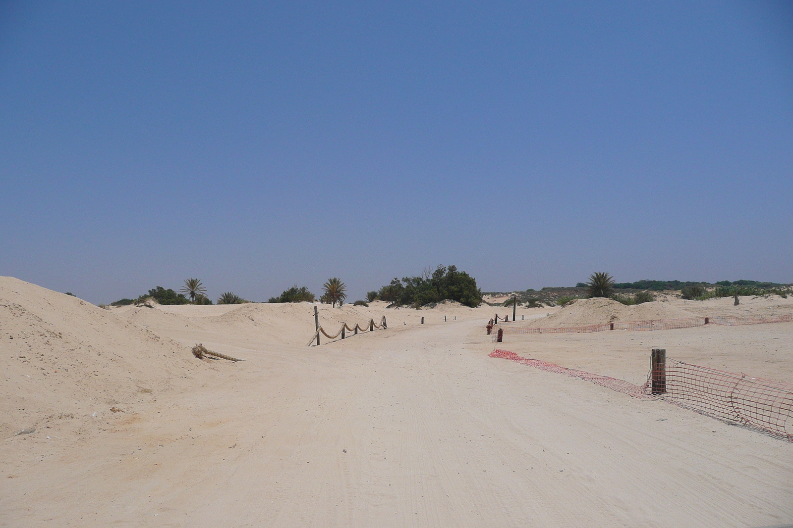 照片 以色列(Israel) 尼灿(Nitzan) 2007-06 33