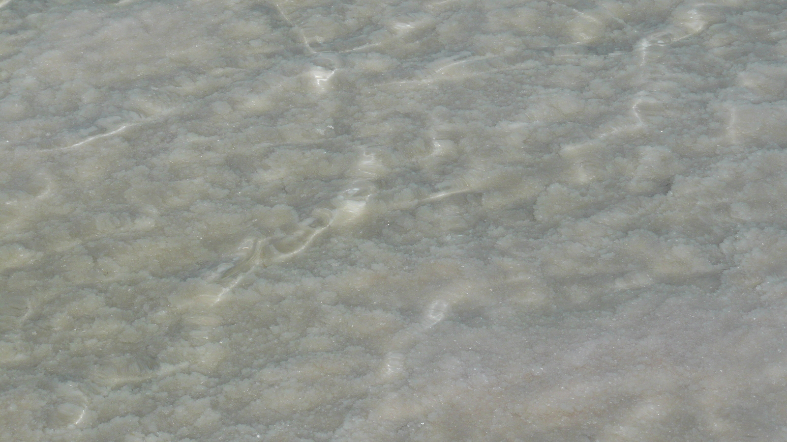 照片 以色列(Israel) 埃因博克(Boqeq) 2007-06 30