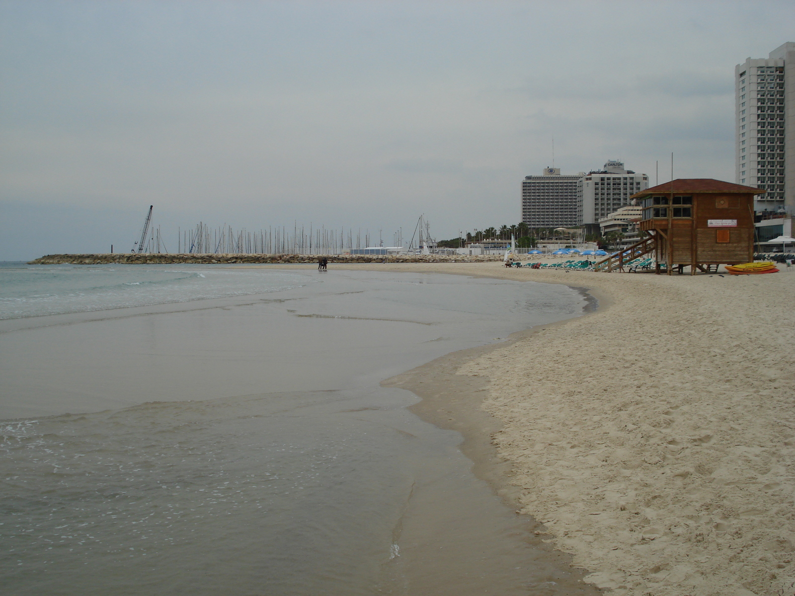照片 以色列(Israel) 特拉维夫(Tel Aviv) 特拉维夫海岸(Tel Aviv Sea Shore) 2006-12 13