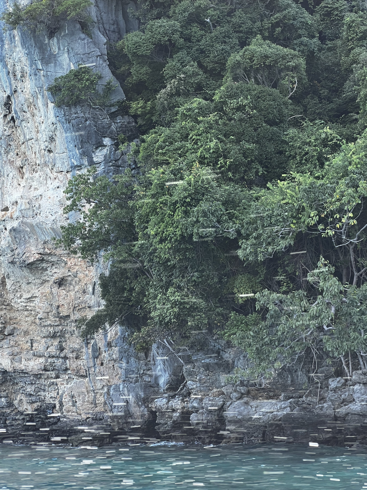 照片 泰国(Thailand) 小皮皮岛(Ko Phi Phi Ley) 2021-12 101