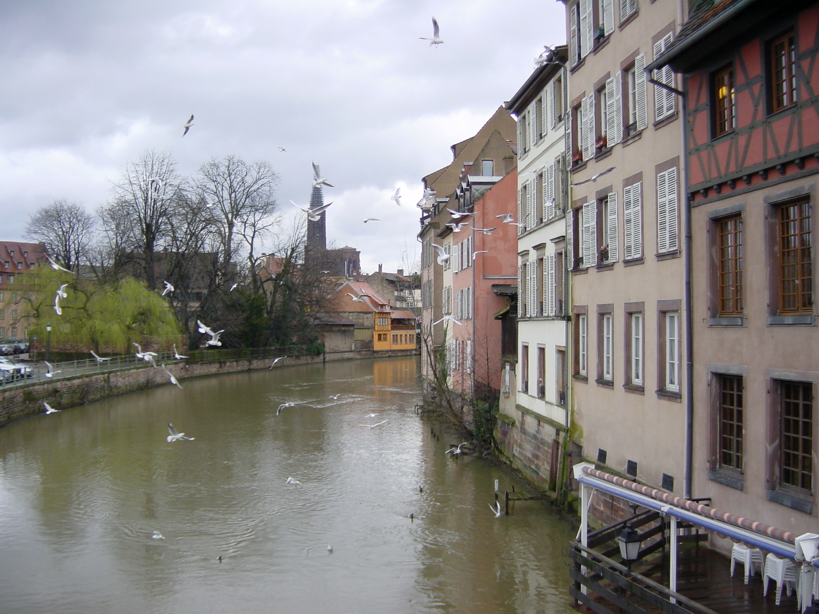 照片 法国(France) 斯特拉斯堡(Strasbourg) 2002-02 26