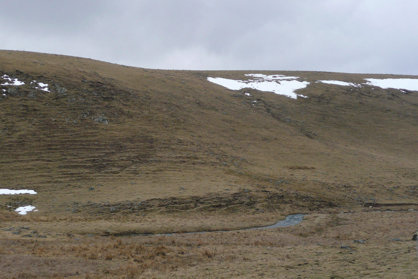 照片 法国(France) 奥布拉克(L'Aubrac) 2008-04 2
