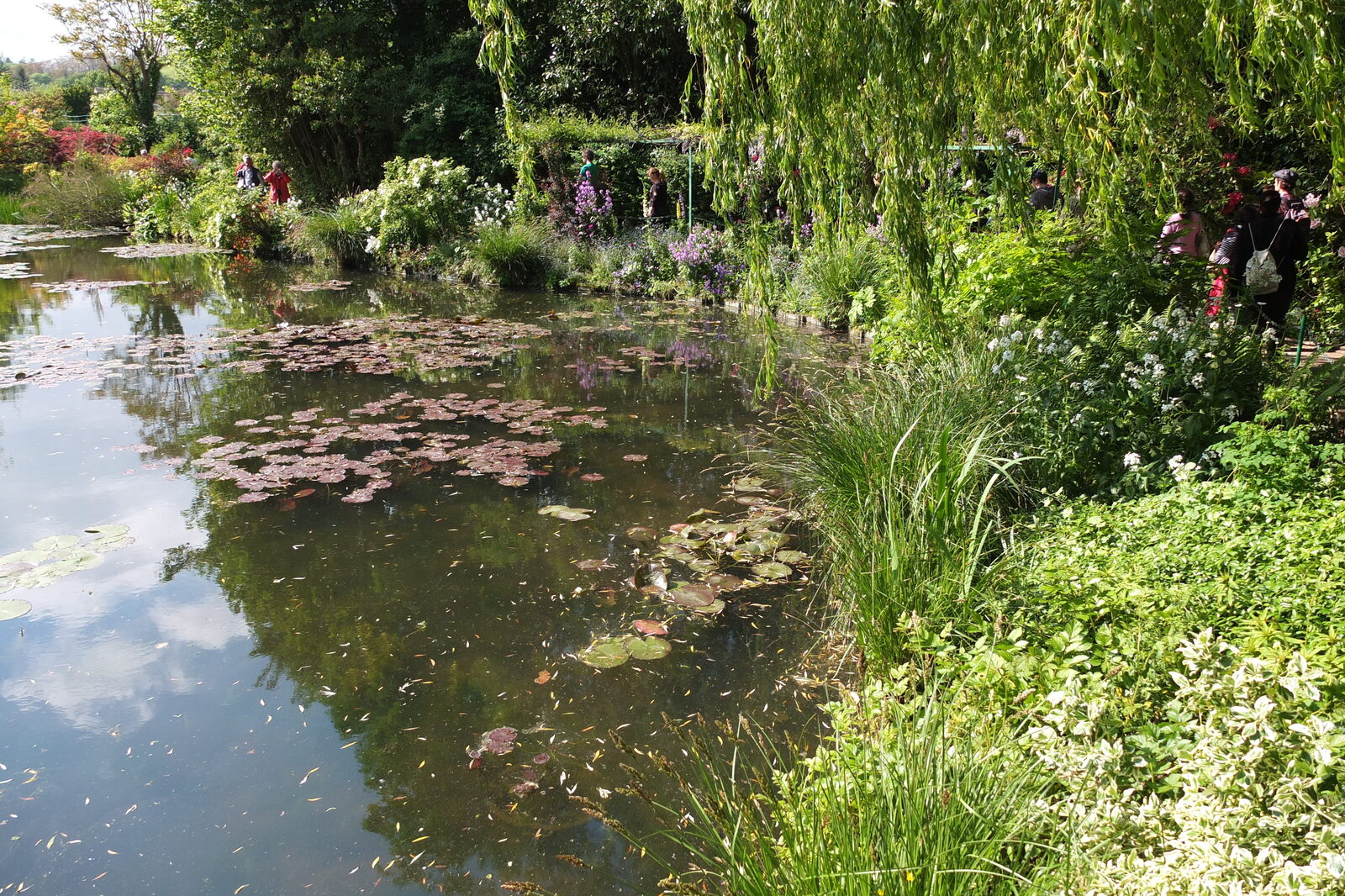 照片 法国(France) 吉维尼(Giverny) 2013-06 214