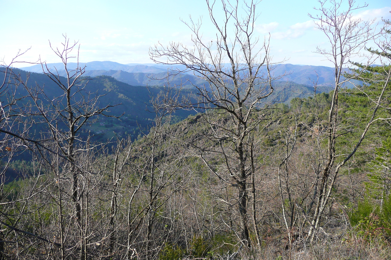 照片 法国(France) 塞文山脉(Cevennes Mountains) 2008-04 102